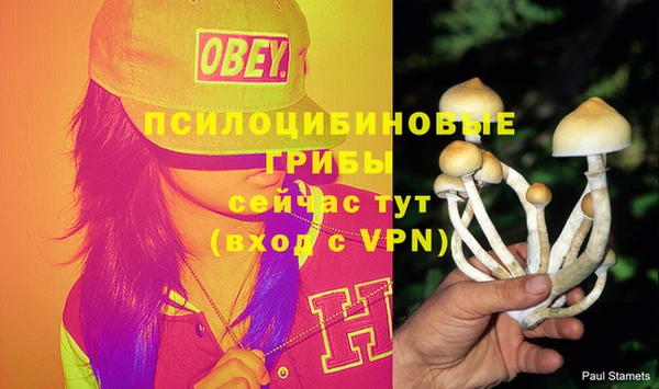 дурь Козельск