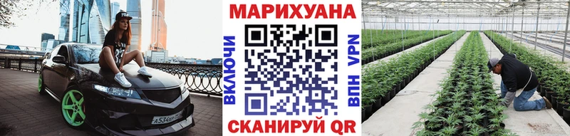 Бошки марихуана марихуана  дарнет шоп  Красный Сулин 